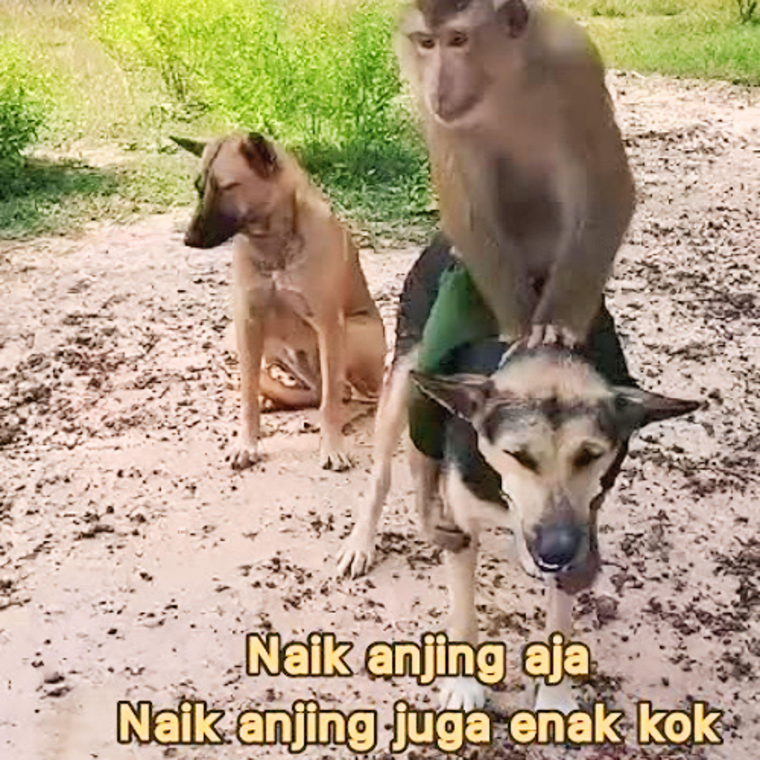 RATUTOGEL